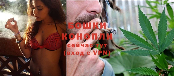 ПСИЛОЦИБИНОВЫЕ ГРИБЫ Карпинск