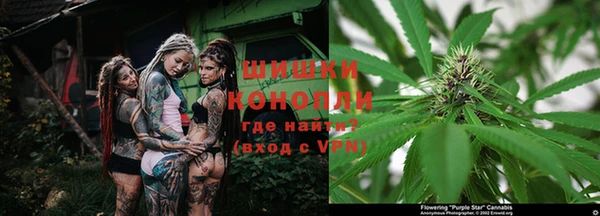 стафф Кинешма