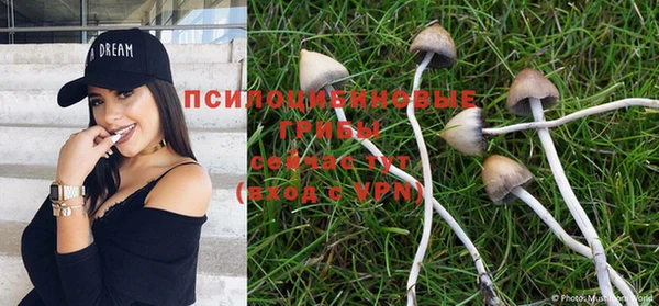 гидропоника Касимов